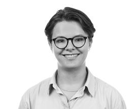 Biborka Bihari, Civilingenjör Riskhantering