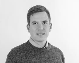 Maximilian von Bahr, Hållbarhetskonsult