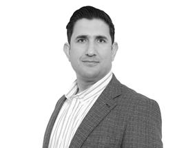 Hassan Maleki, Byggnadskonstruktör