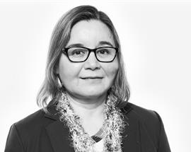 Gabriela Almgren, Datasamordnare