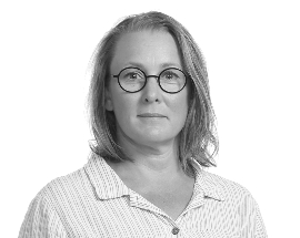 Lisa Skanser, Byggnadsantikvarie